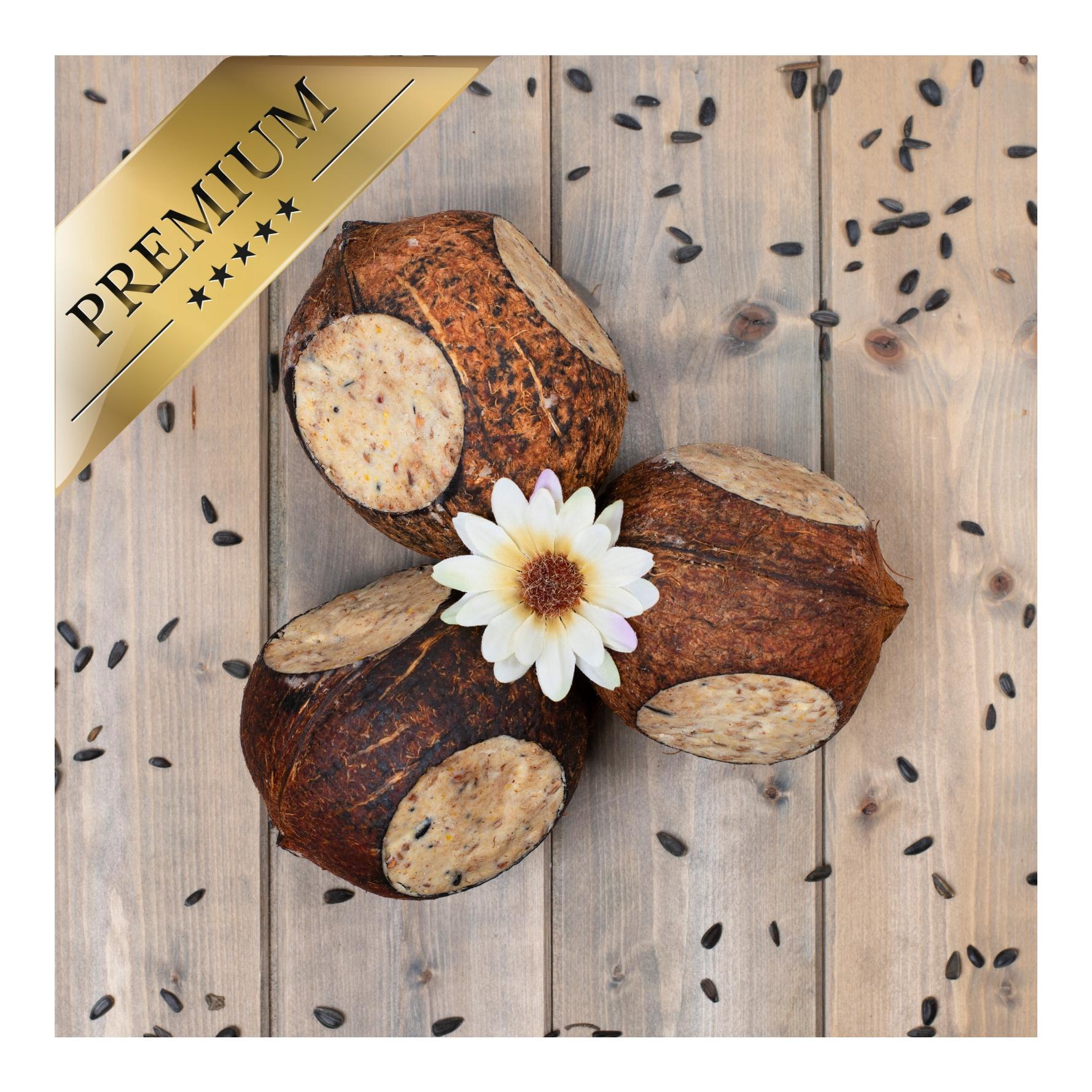 Ganze Kokosnuss mit 3 Löchern gefüllt