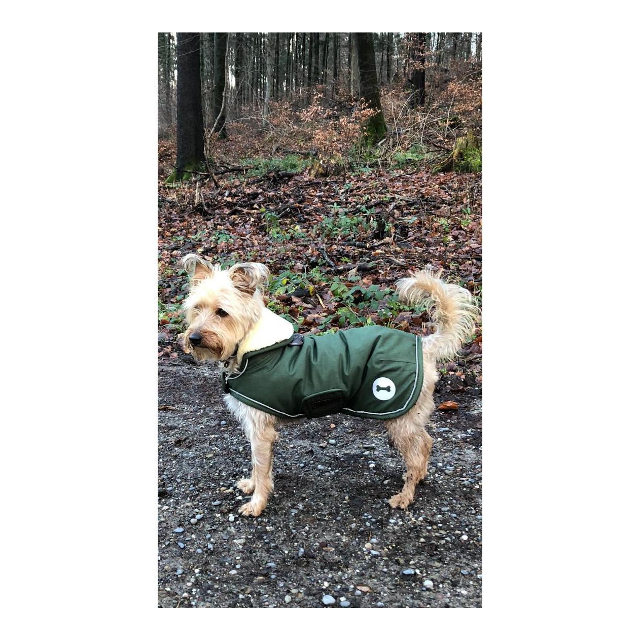 Kentucky Dogwear Manteau imperméable pour chien 300 g - vert olive