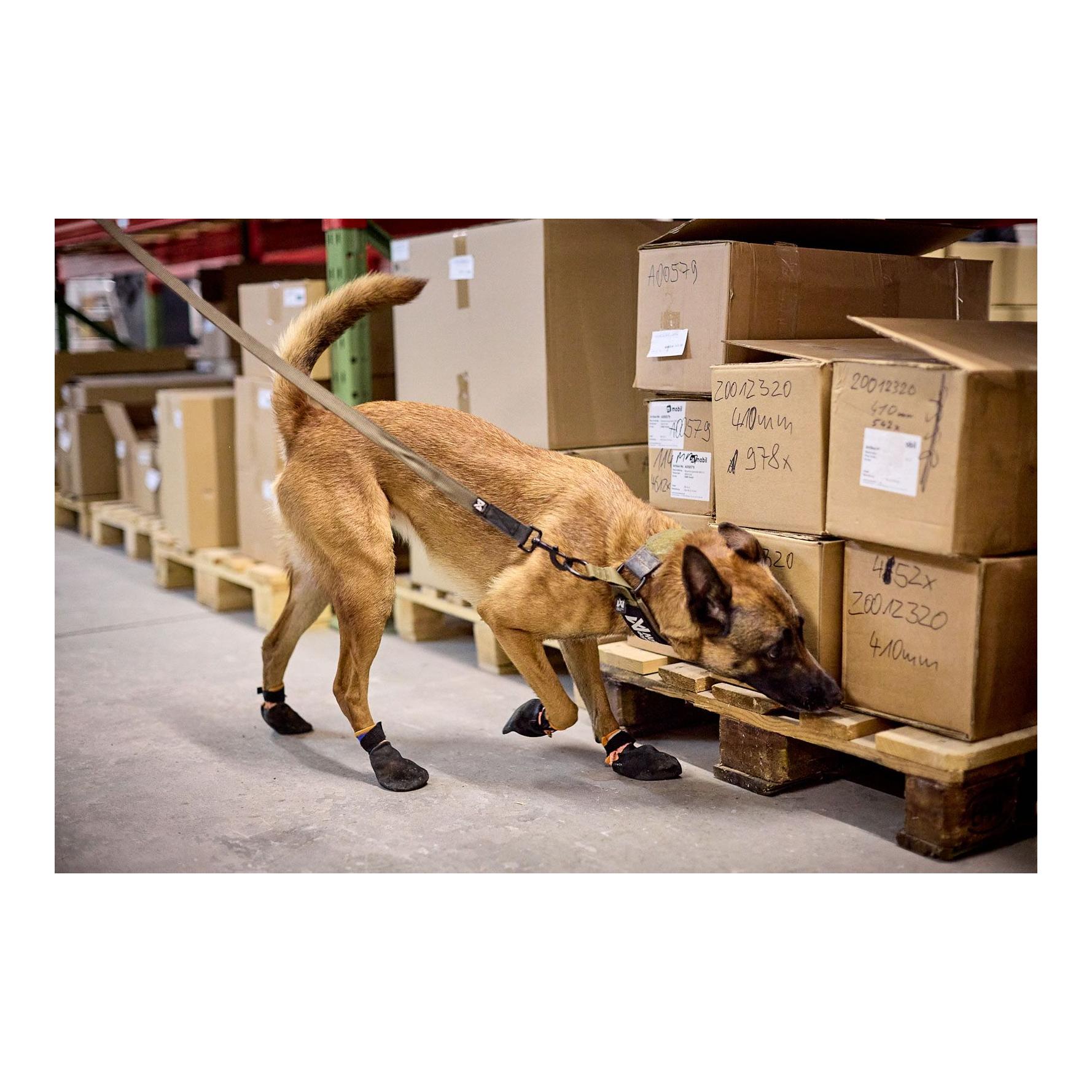 Non-stop Dogwear Hundeleine Solid Leash Working Dog