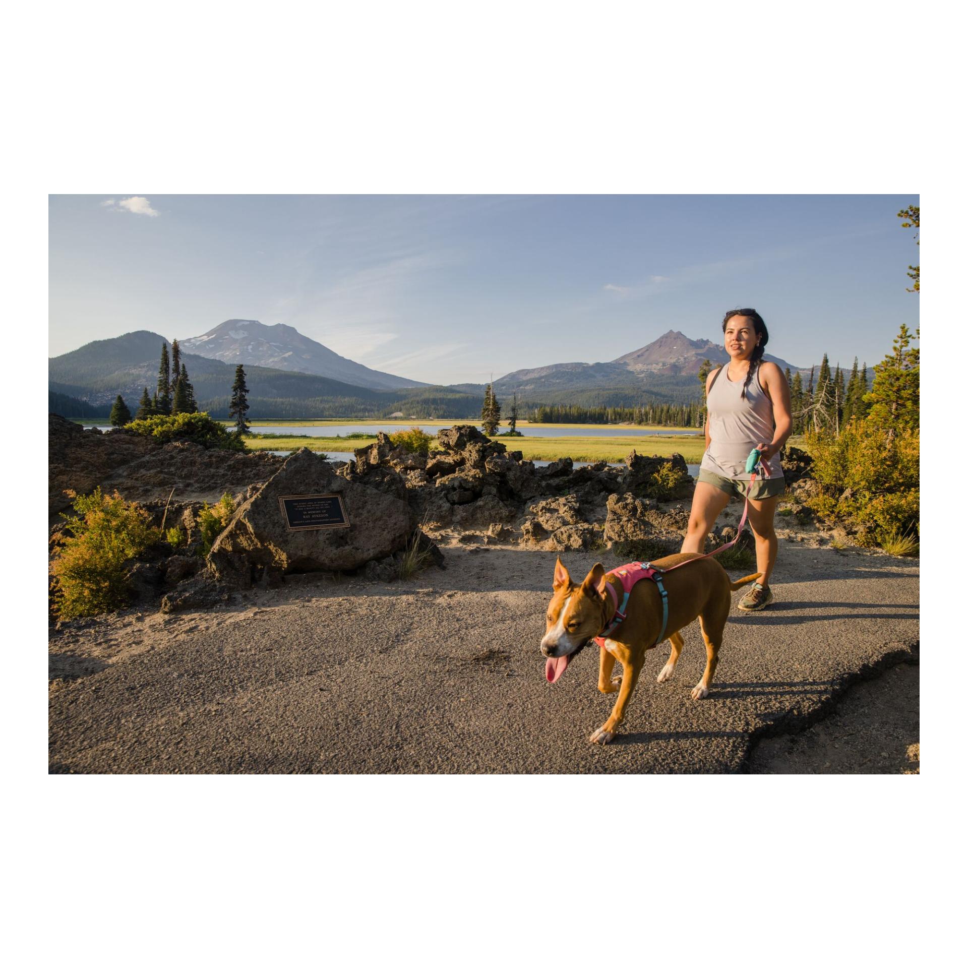 Stash Bag Mini™ Kotbeutelspender