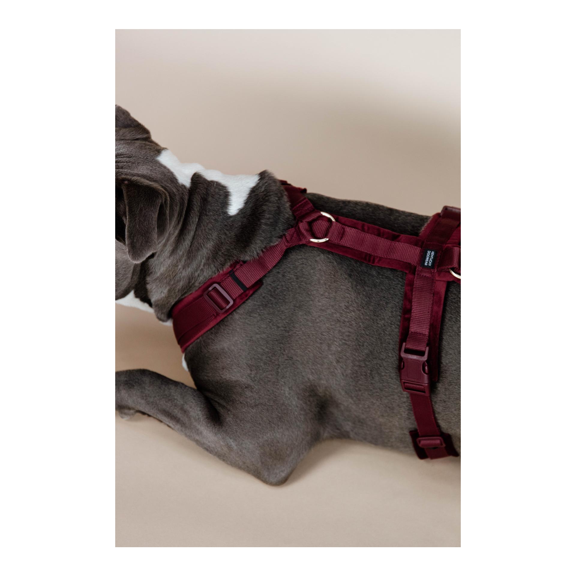 Hundegeschirr Active Velvet