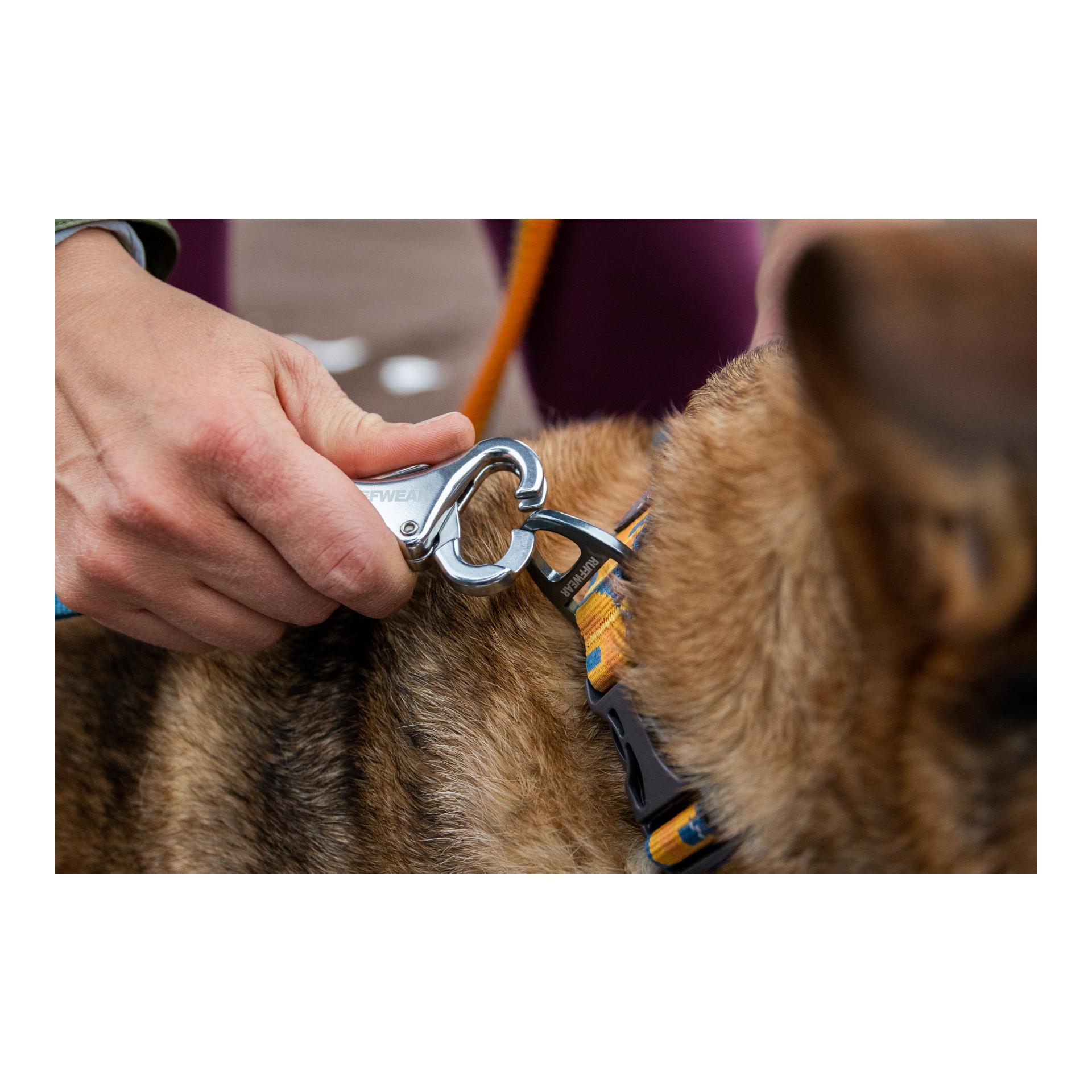 Roamer Bungee Joggingleine