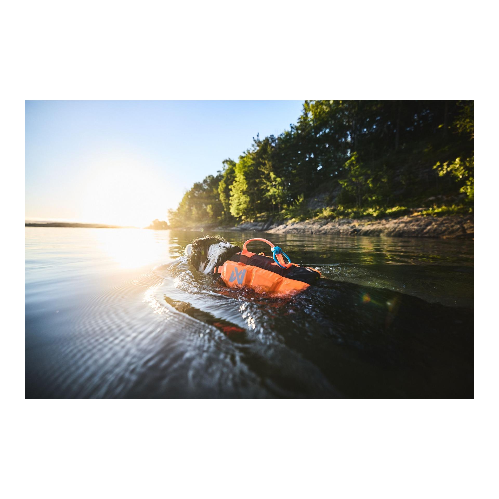 Protector Life Jacket Hundeschwimmweste