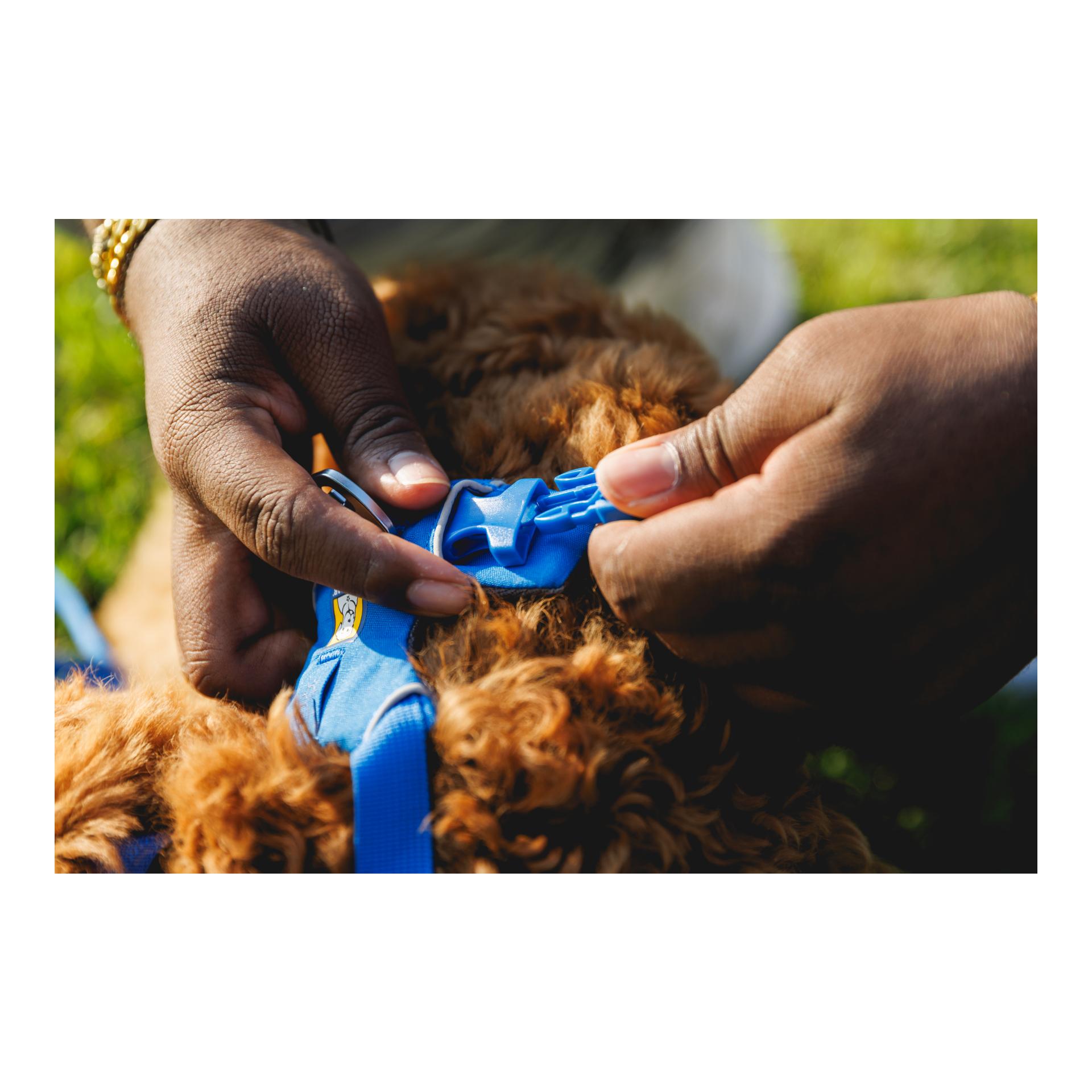 Front Range® Hundegeschirr 