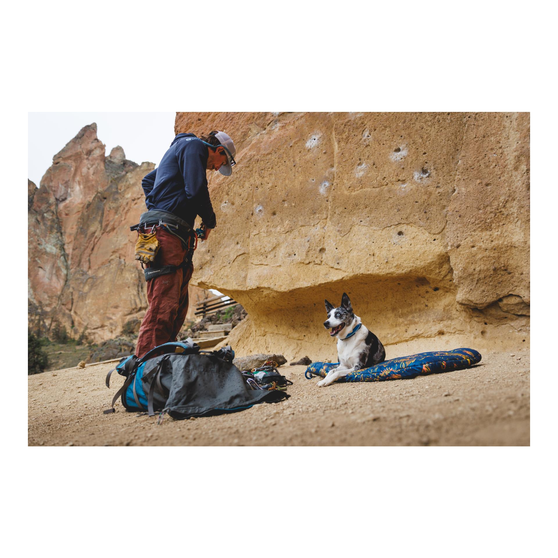 Hundebett Basecamp Bed