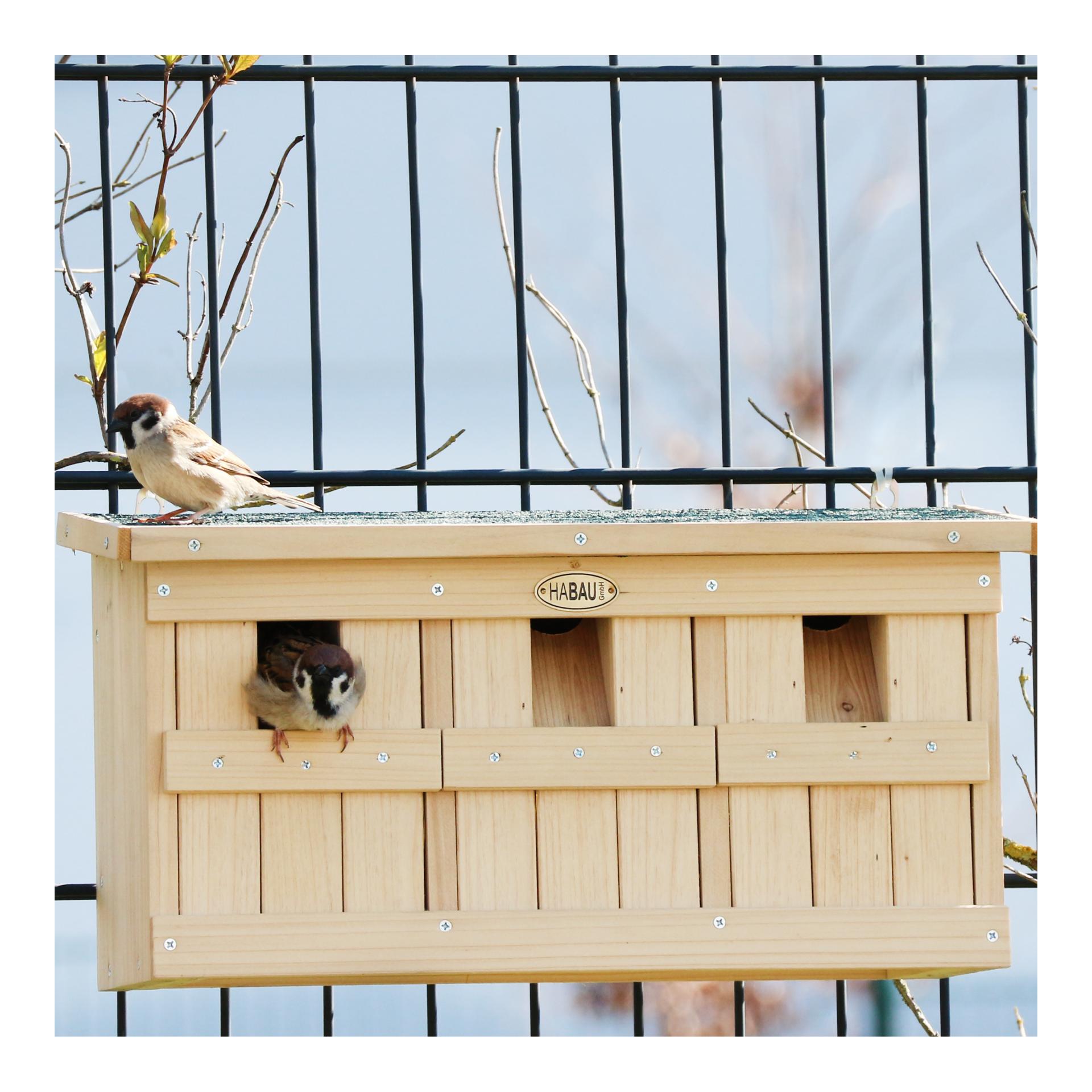 Spatzenhaus mit 3 Brutkammern 