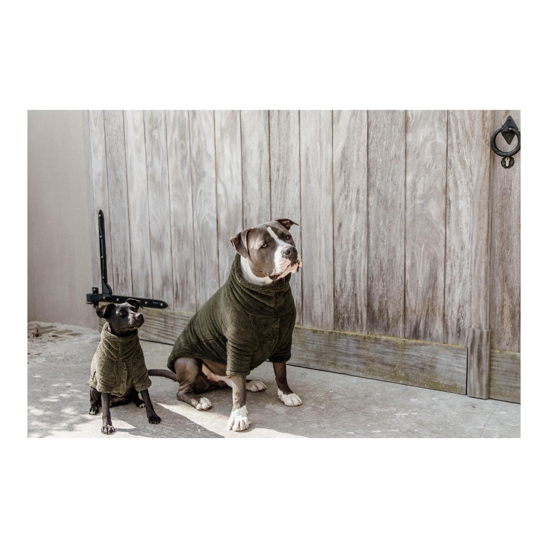 Hundepullover Teddy Fleece - Pine Green